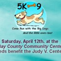 The 5K-9