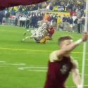 Watch Florida State’s Horse Fall Over Before Game Against Michigan